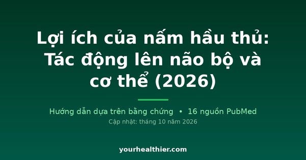 Lợi ích của nấm hầu thủ: Tác động lên não bộ và cơ thể (2026)
