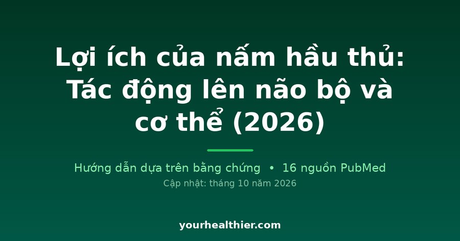 Lợi ích của nấm hầu thủ: Tác động lên não bộ và cơ thể (2026)