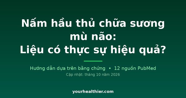 Nấm hầu thủ chữa sương mù não: Liệu có thực sự hiệu quả?
