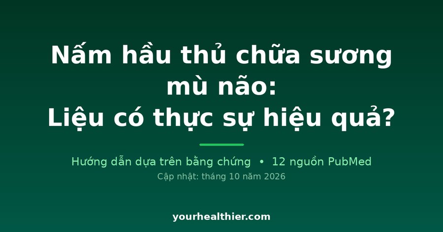 Nấm hầu thủ chữa sương mù não: Liệu có thực sự hiệu quả?
