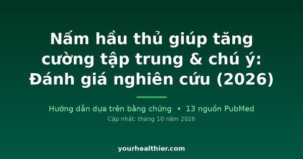 Nấm hầu thủ giúp tăng cường tập trung & chú ý: Đánh giá nghiên cứu (2026)