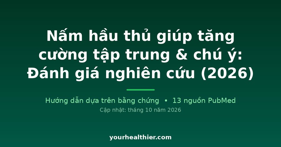 Nấm hầu thủ giúp tăng cường tập trung & chú ý: Đánh giá nghiên cứu (2026)