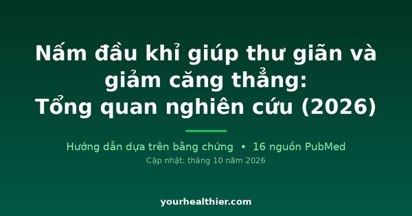 Nấm đầu khỉ giúp thư giãn và giảm căng thẳng: Tổng quan nghiên cứu (2026)