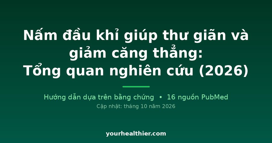 Nấm đầu khỉ giúp thư giãn và giảm căng thẳng: Tổng quan nghiên cứu (2026)