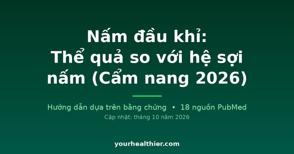 Nấm đầu khỉ: Thể quả so với hệ sợi nấm (Cẩm nang 2026)