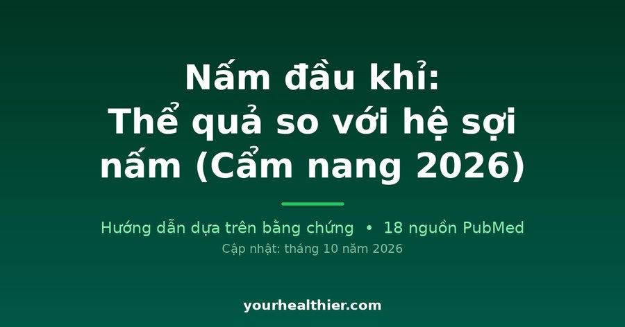Nấm đầu khỉ: Thể quả so với hệ sợi nấm (Cẩm nang 2026)