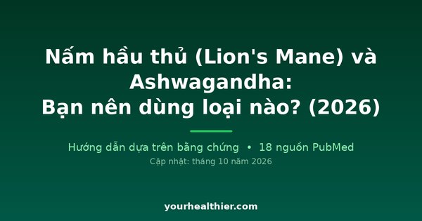 Nấm hầu thủ (Lion’s Mane) và Ashwagandha: Bạn nên dùng loại nào? (2026)