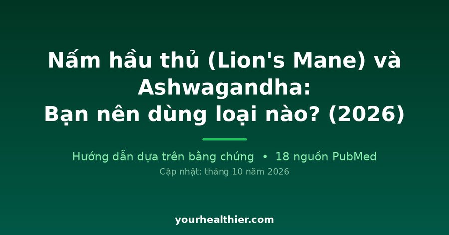 Nấm hầu thủ (Lion’s Mane) và Ashwagandha: Bạn nên dùng loại nào? (2026)