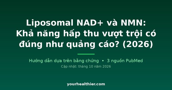 Liposomal NAD+ và NMN: Khả năng hấp thu vượt trội có đúng như quảng cáo? (2026)