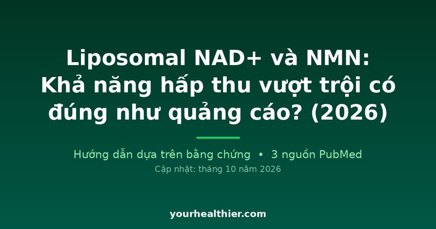 Liposomal NAD+ và NMN: Khả năng hấp thu vượt trội có đúng như quảng cáo? (2026)