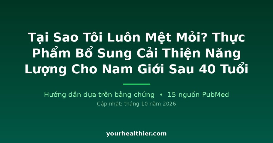 Tại Sao Tôi Luôn Mệt Mỏi? Thực Phẩm Bổ Sung Cải Thiện Năng Lượng Cho Nam Giới Sau 40 Tuổi