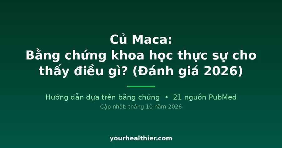 Củ Maca: Bằng chứng khoa học thực sự cho thấy điều gì? (Đánh giá 2026)