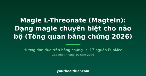Magie L-Threonate (Magtein): Dạng magie chuyên biệt cho não bộ (Tổng quan bằng chứng 2026)