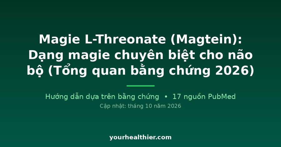 Magie L-Threonate (Magtein): Dạng magie chuyên biệt cho não bộ (Tổng quan bằng chứng 2026)