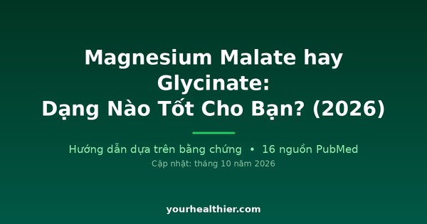 Magnesium Malate hay Glycinate: Dạng Nào Tốt Cho Bạn? (2026)