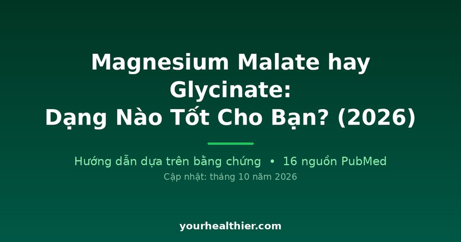Magnesium Malate hay Glycinate: Dạng Nào Tốt Cho Bạn? (2026)