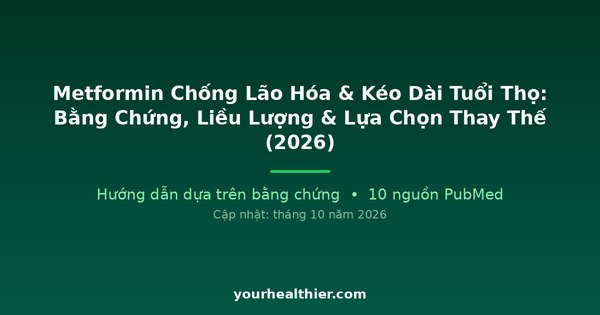 Metformin Chống Lão Hóa & Kéo Dài Tuổi Thọ: Bằng Chứng, Liều Lượng & Lựa Chọn Thay Thế (2026)