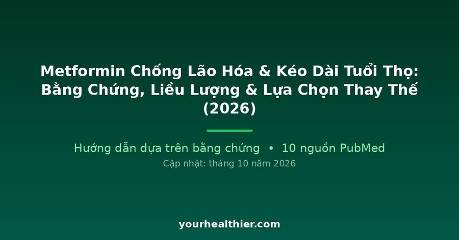 Metformin Chống Lão Hóa & Kéo Dài Tuổi Thọ: Bằng Chứng, Liều Lượng & Lựa Chọn Thay Thế (2026)
