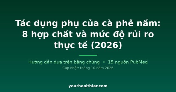 Tác dụng phụ của cà phê nấm: 8 hợp chất và mức độ rủi ro thực tế (2026)
