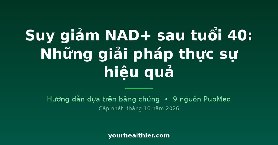 Suy giảm NAD+ sau tuổi 40: Những giải pháp thực sự hiệu quả