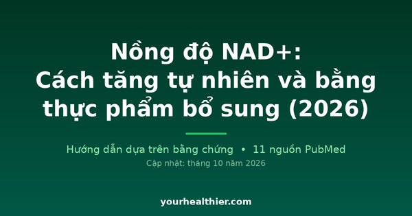 Nồng độ NAD+: Cách tăng tự nhiên và bằng thực phẩm bổ sung (2026)