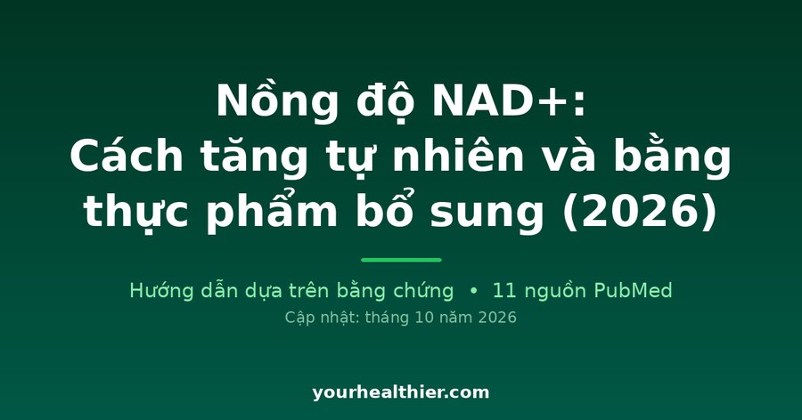 Nồng độ NAD+: Cách tăng tự nhiên và bằng thực phẩm bổ sung (2026)