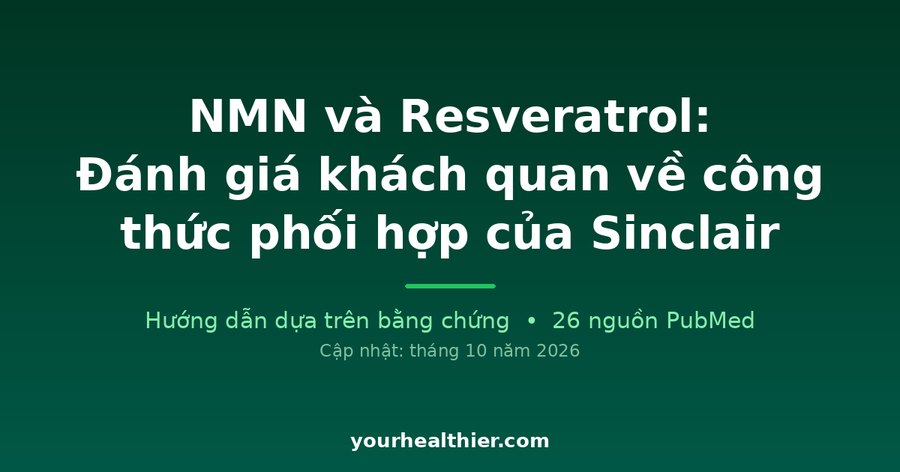 NMN và Resveratrol: Đánh giá khách quan về công thức phối hợp của Sinclair