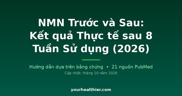 NMN Trước và Sau: Kết quả Thực tế sau 8 Tuần Sử dụng (2026)