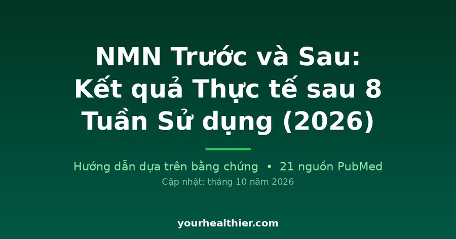 NMN Trước và Sau: Kết quả Thực tế sau 8 Tuần Sử dụng (2026)