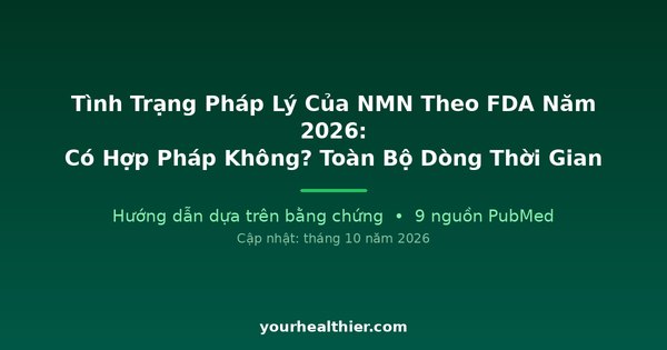 Tình Trạng Pháp Lý Của NMN Theo FDA Năm 2026: Có Hợp Pháp Không? Toàn Bộ Dòng Thời Gian