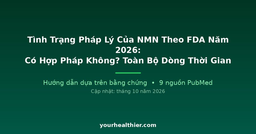 Tình Trạng Pháp Lý Của NMN Theo FDA Năm 2026: Có Hợp Pháp Không? Toàn Bộ Dòng Thời Gian