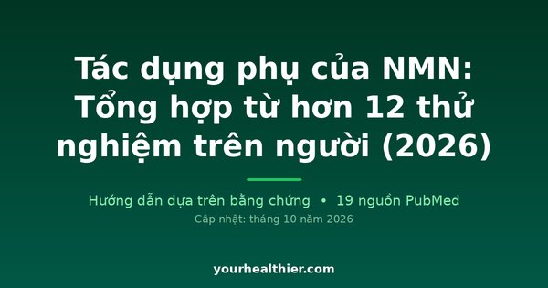 Tác dụng phụ của NMN: Tổng hợp từ hơn 12 thử nghiệm trên người (2026)