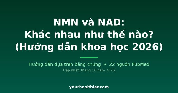 NMN và NAD: Khác nhau như thế nào? (Hướng dẫn khoa học 2026)