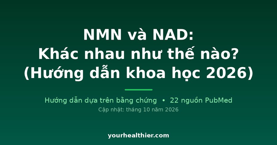 NMN và NAD: Khác nhau như thế nào? (Hướng dẫn khoa học 2026)