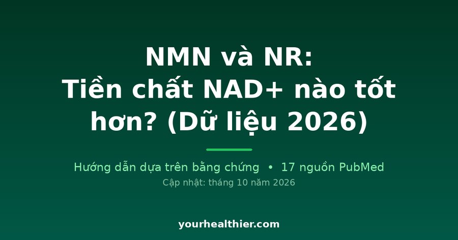 NMN và NR: Tiền chất NAD+ nào tốt hơn? (Dữ liệu 2026)