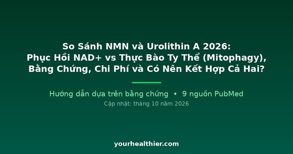 So Sánh NMN và Urolithin A 2026: Phục Hồi NAD+ vs Thực Bào Ty Thể (Mitophagy), Bằng Chứng, Chi Phí và Có Nên Kết Hợp Cả Hai?