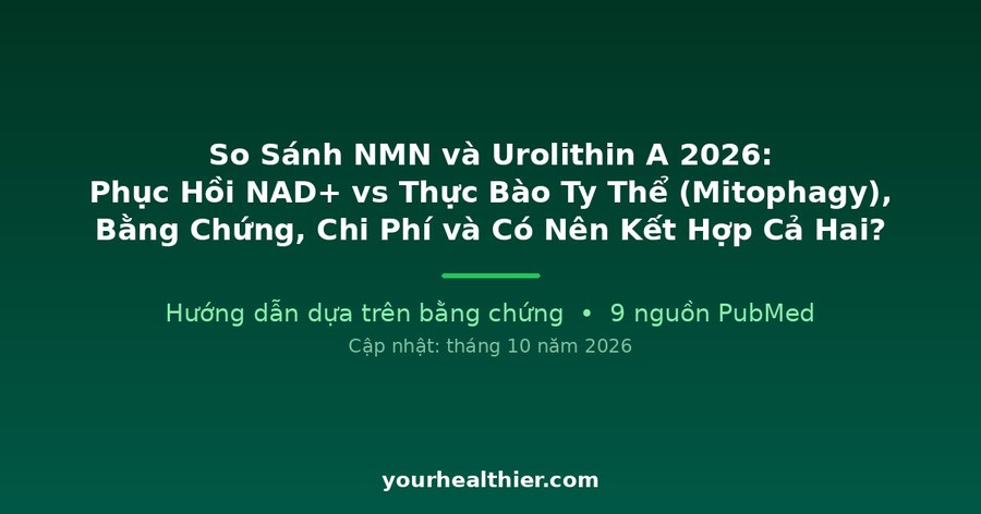 So Sánh NMN và Urolithin A 2026: Phục Hồi NAD+ vs Thực Bào Ty Thể (Mitophagy), Bằng Chứng, Chi Phí và Có Nên Kết Hợp Cả Hai?