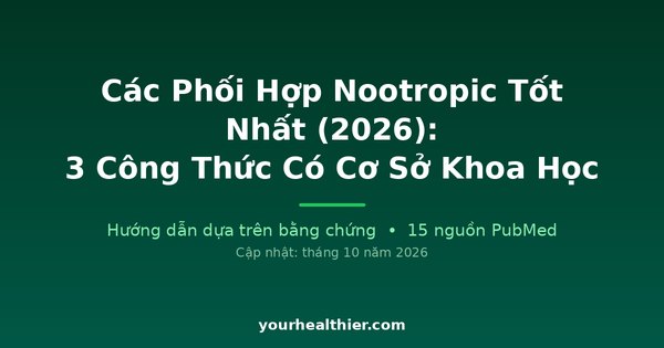 Các Phối Hợp Nootropic Tốt Nhất (2026): 3 Công Thức Có Cơ Sở Khoa Học