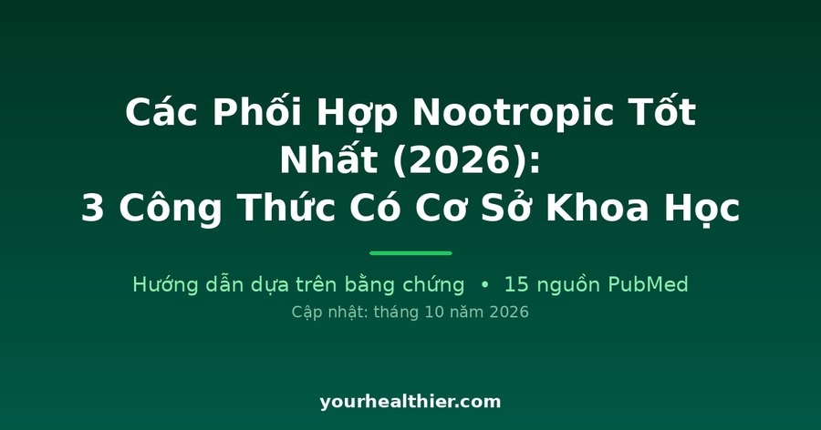 Các Phối Hợp Nootropic Tốt Nhất (2026): 3 Công Thức Có Cơ Sở Khoa Học