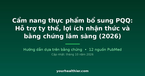 Cẩm nang thực phẩm bổ sung PQQ: Hỗ trợ ty thể, lợi ích nhận thức và bằng chứng lâm sàng (2026)