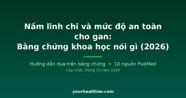 Nấm linh chi và mức độ an toàn cho gan: Bằng chứng khoa học nói gì (2026)