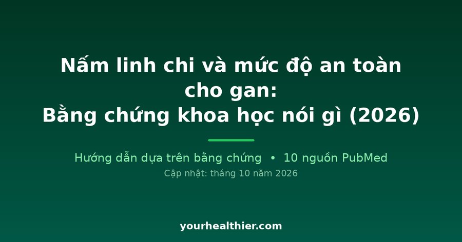 Nấm linh chi và mức độ an toàn cho gan: Bằng chứng khoa học nói gì (2026)