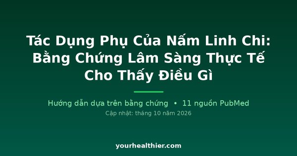 Tác Dụng Phụ Của Nấm Linh Chi: Bằng Chứng Lâm Sàng Thực Tế Cho Thấy Điều Gì