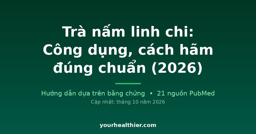 Trà nấm linh chi: Công dụng, cách hãm đúng chuẩn (2026)