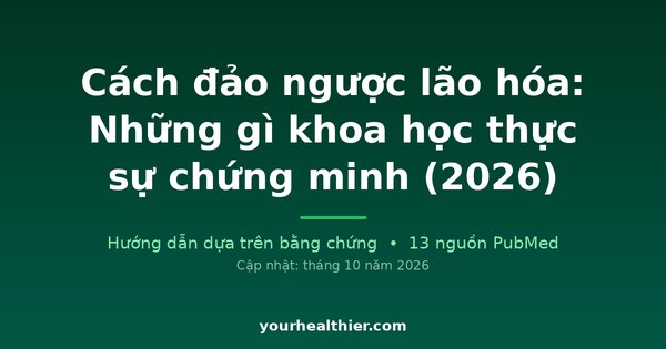 Cách đảo ngược lão hóa: Những gì khoa học thực sự chứng minh (2026)