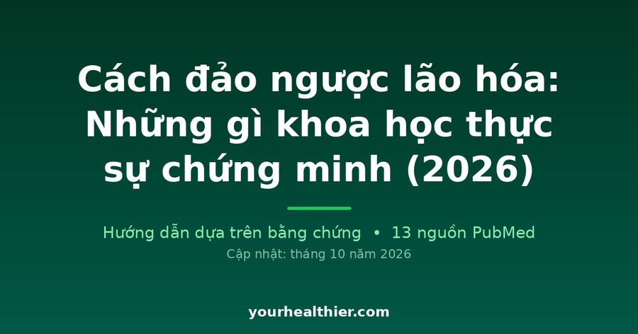 Cách đảo ngược lão hóa: Những gì khoa học thực sự chứng minh (2026)