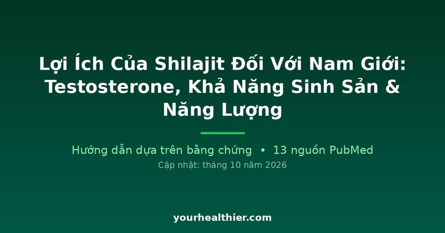 Lợi Ích Của Shilajit Đối Với Nam Giới: Testosterone, Khả Năng Sinh Sản & Năng Lượng