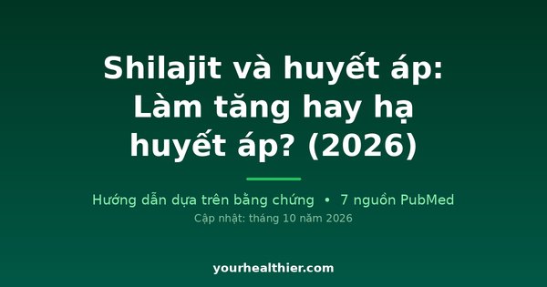 Shilajit và huyết áp: Làm tăng hay hạ huyết áp? (2026)