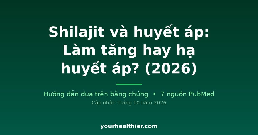Shilajit và huyết áp: Làm tăng hay hạ huyết áp? (2026)