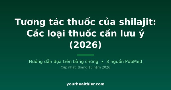 Tương tác thuốc của shilajit: Các loại thuốc cần lưu ý (2026)